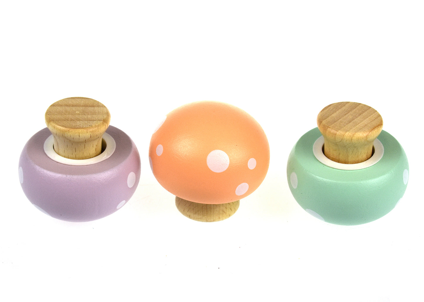 WOODEN BEEP BEEP SQUEAKY MUSHROOM