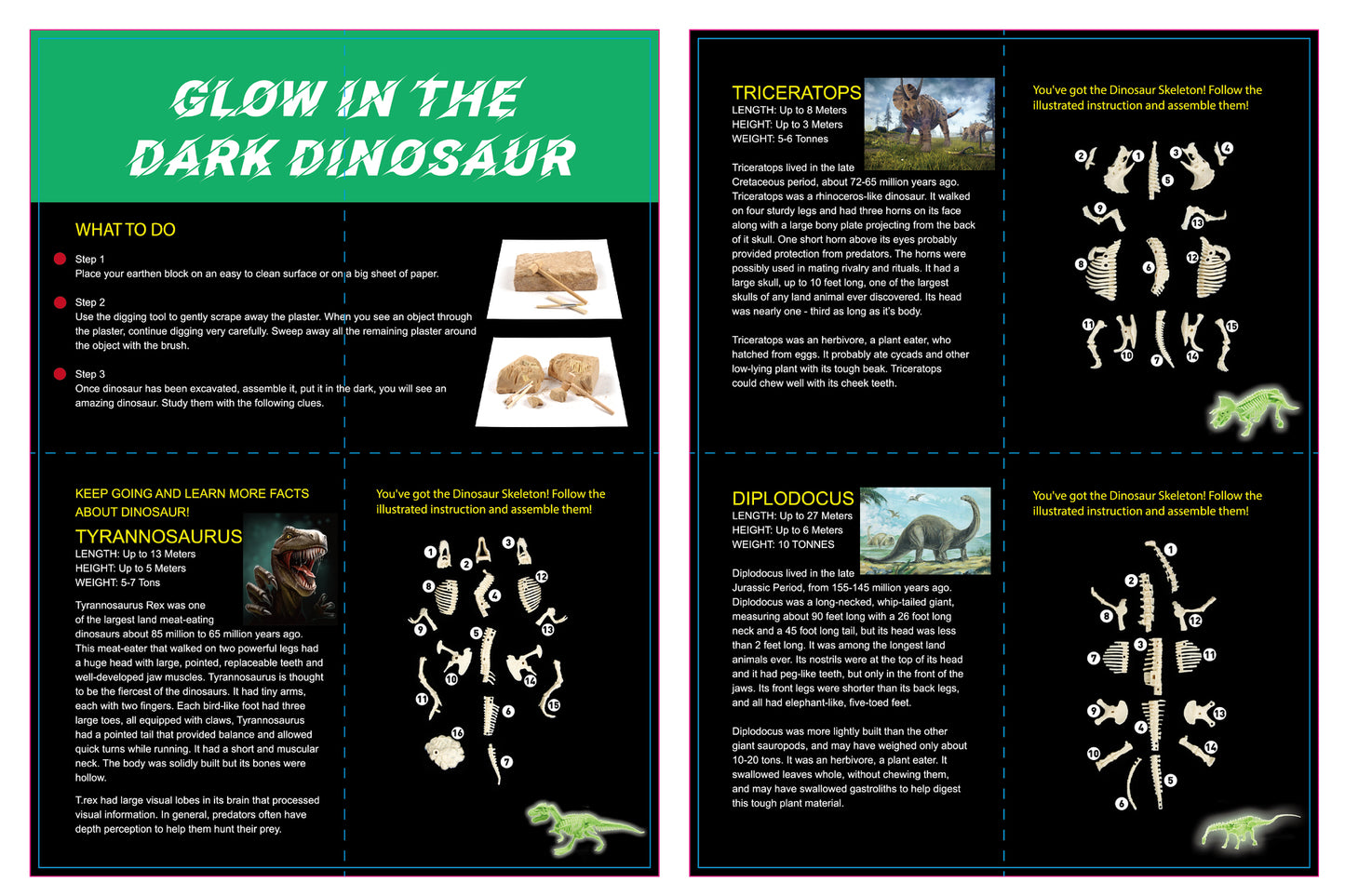 GLOW IN THE DARK TYRANNOSAURUS EXCAVATION KIT