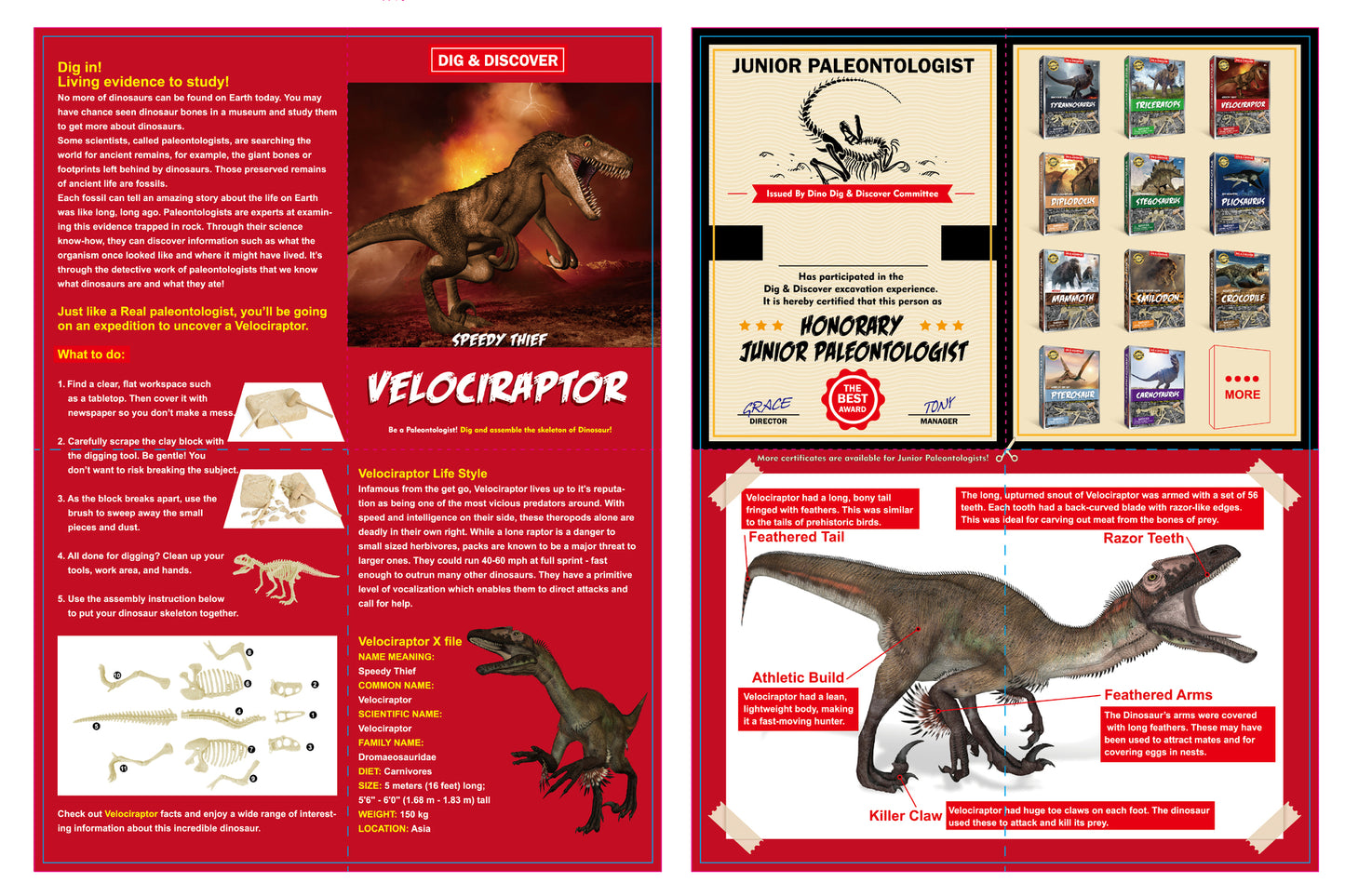 DIG & DISCOVER VELOCIRAPTOR DIG KITS