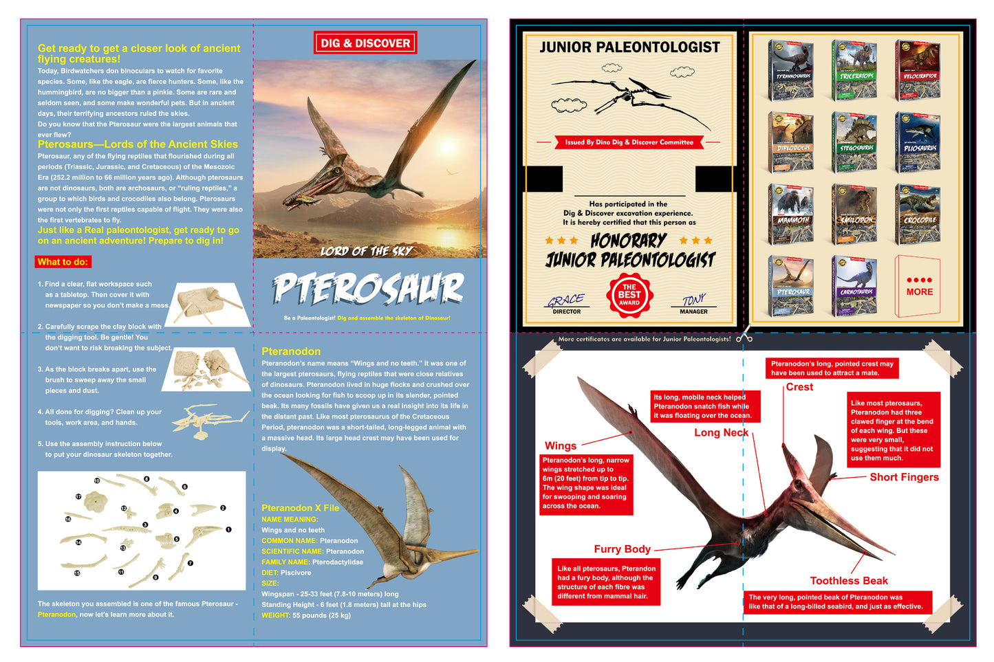 DIG & DISCOVER PTEROSAUR DIG KITS