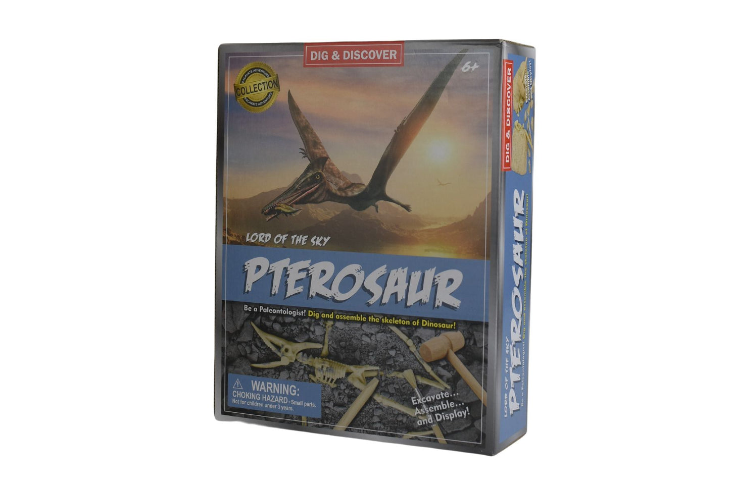 DIG & DISCOVER PTEROSAUR DIG KITS