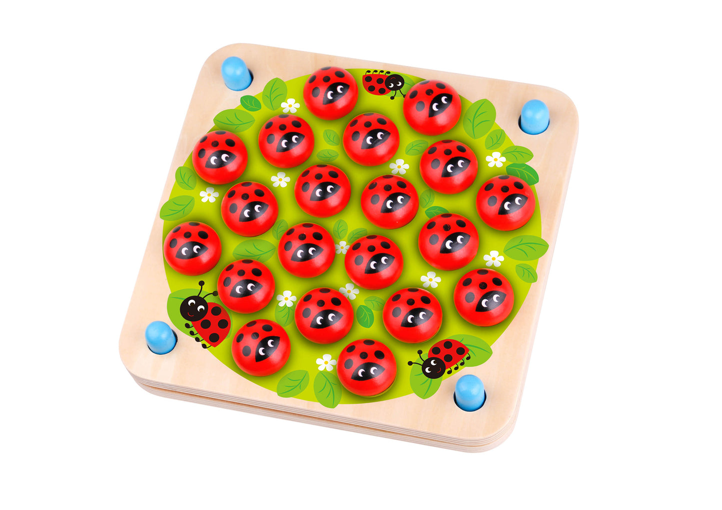 LADYBUG MEMORY MATCHING GAME